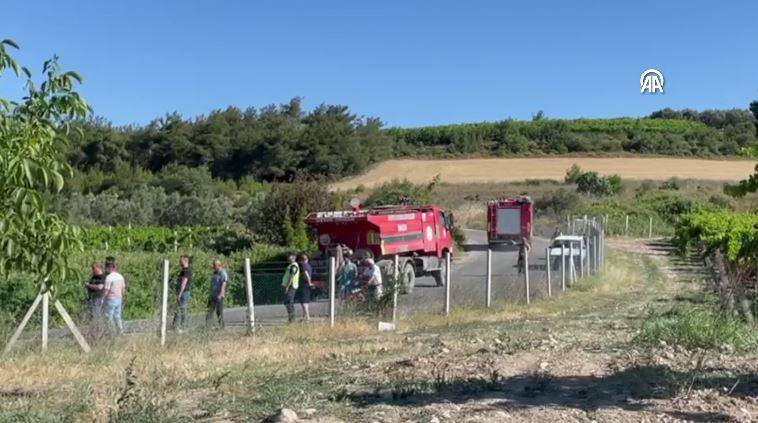 Sakarya'da orman yangını - Resim: 6